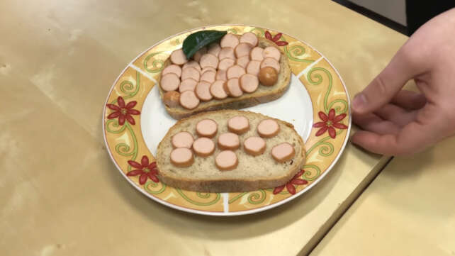 IT Makłowicz i mięsna retina