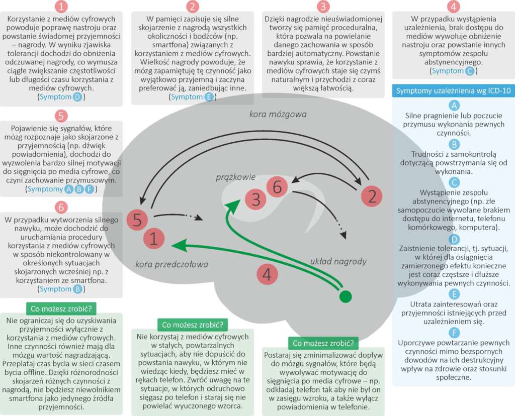 Schemat powstawania uzależnień autorstwa dr neurobiologii Wojciecha Glaca