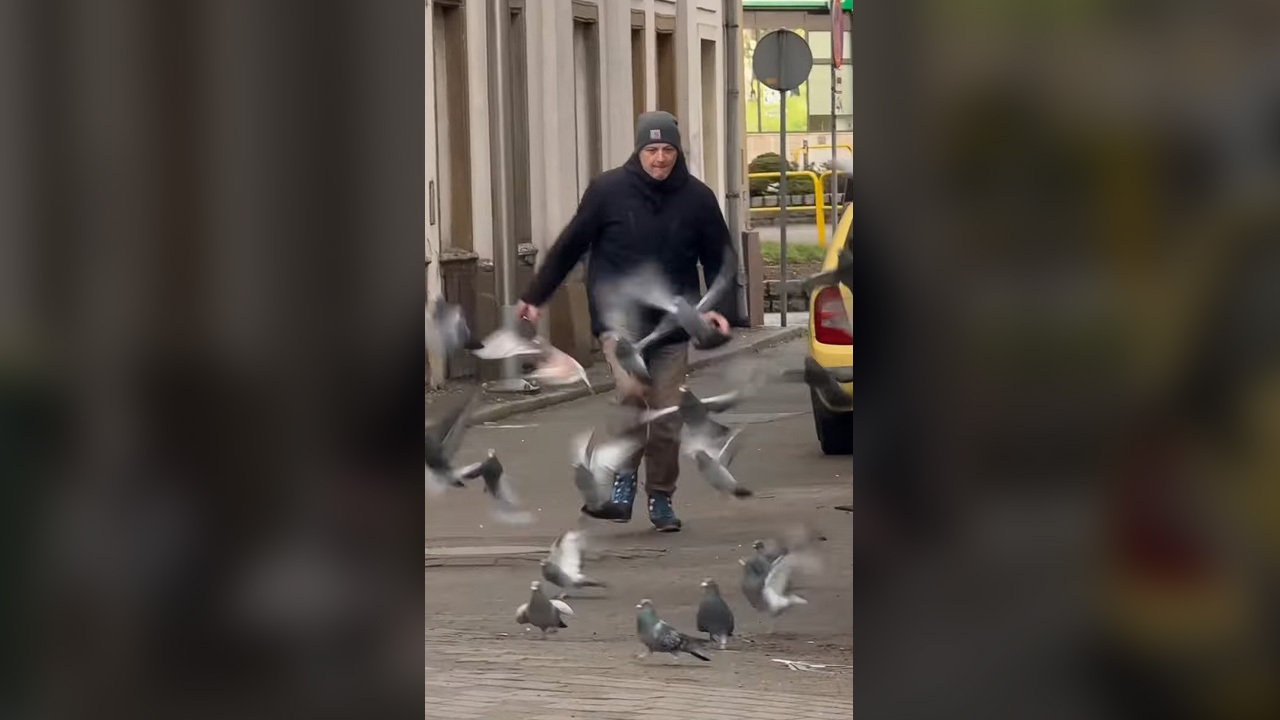 Gdy chcesz zjeść coś normalnego | HRejterzy